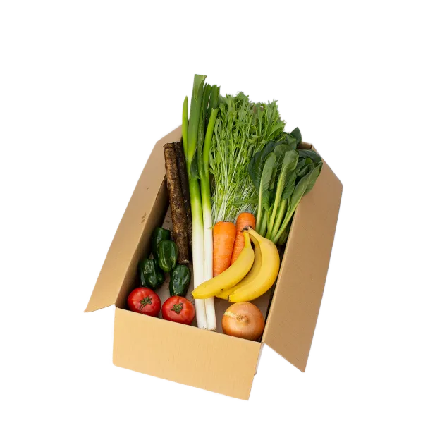 ゆうきだいすきセット