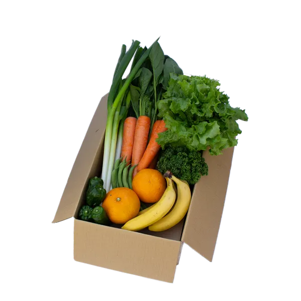 フルーティーセット