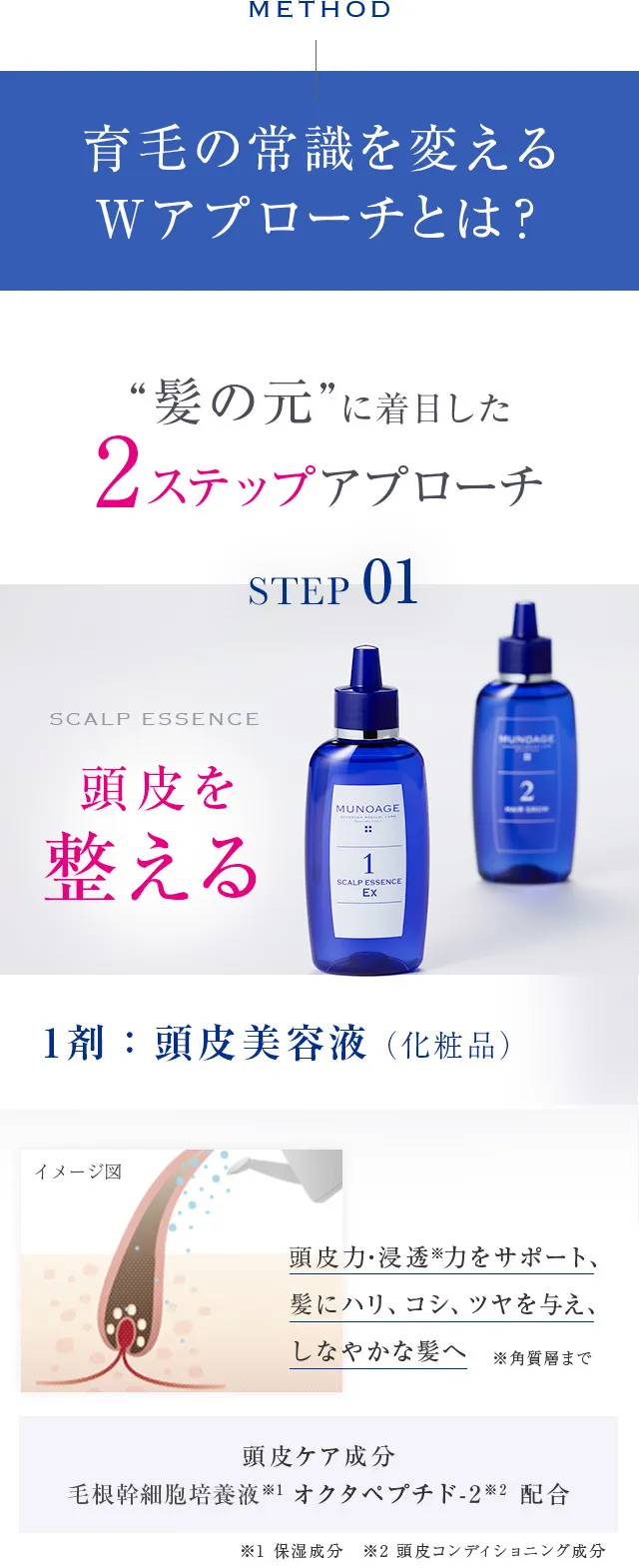 育毛の常識を変えるWアプローチとは？髪の元に着目した2ステップアプローチ。STEP01頭皮を整える