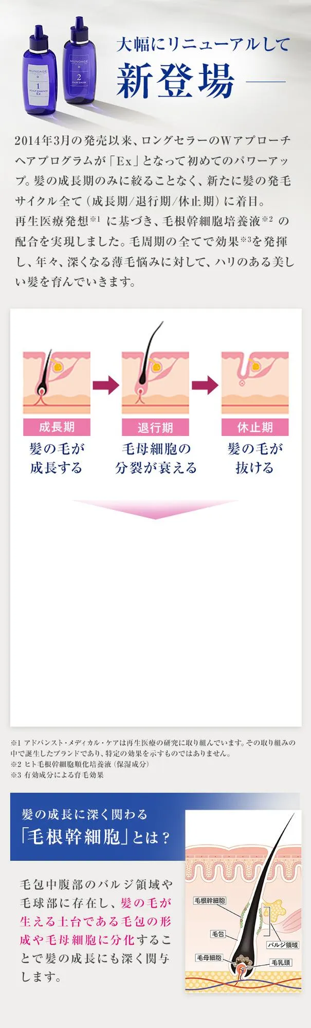 大幅にリニューアルして新登場