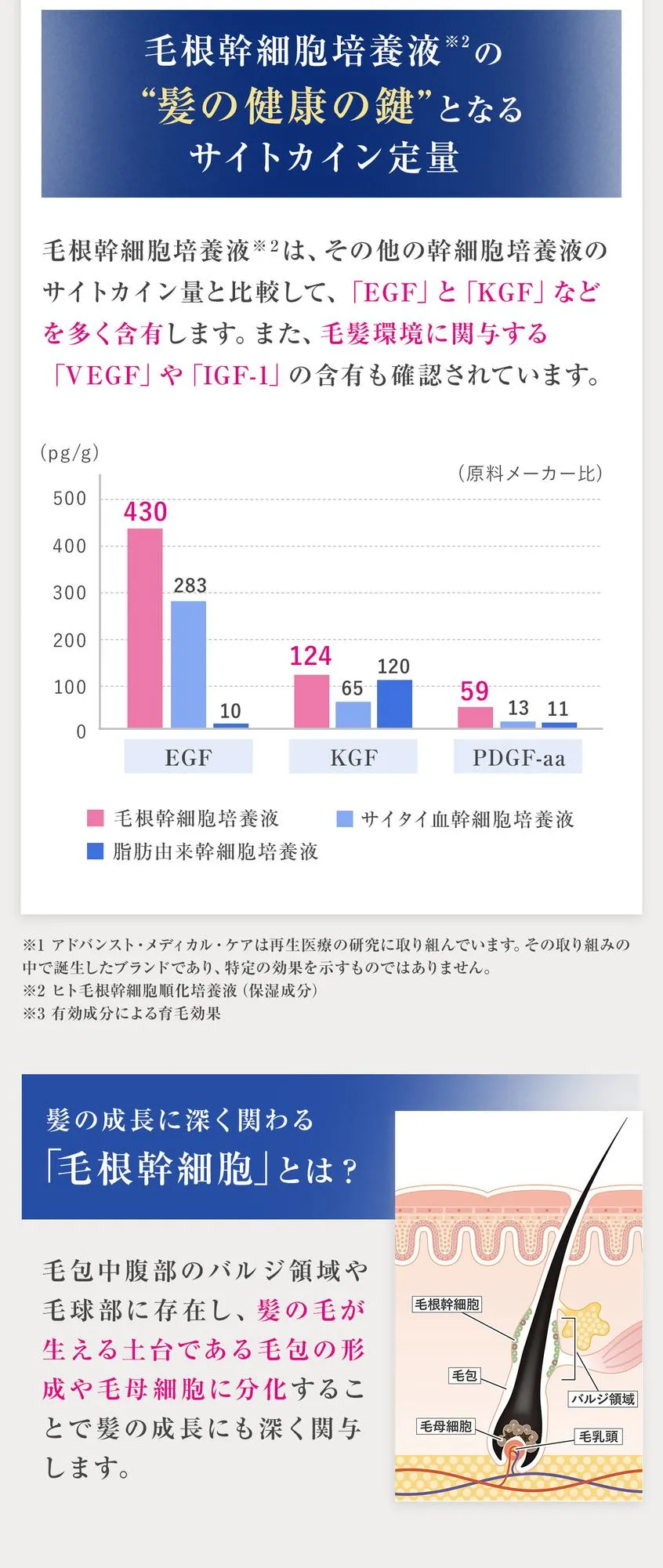 大幅にリニューアルして新登場
