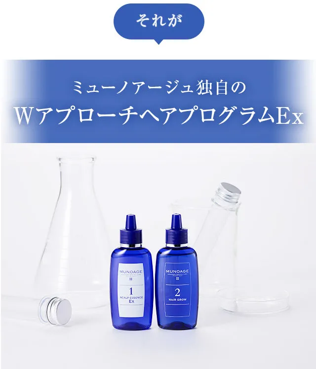 さらに独自のWアプローチ。