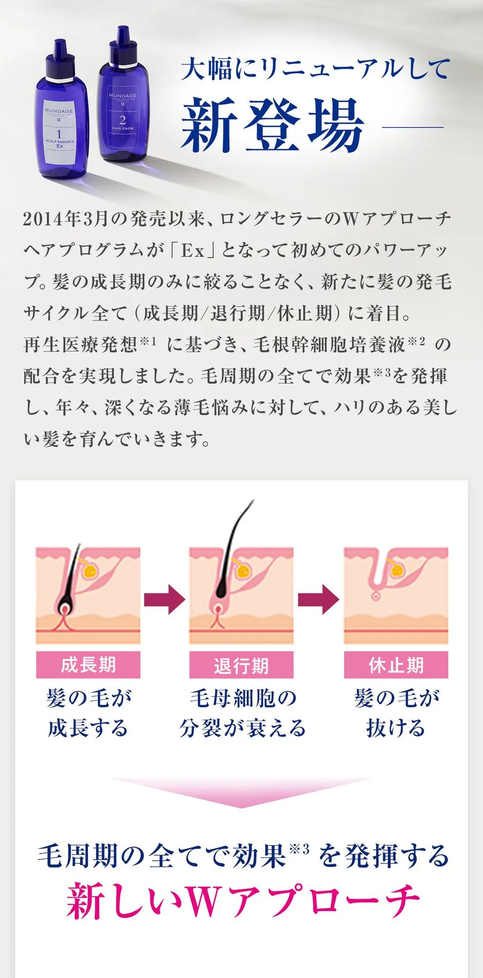 大幅にリニューアルして新登場