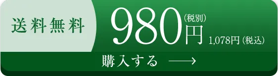 送料無料980円（税込） 購入する