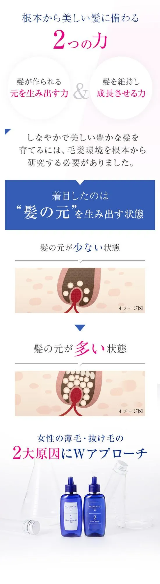 根本から美しい髪に備わる2つの力