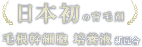 限定キャンペーン実施中